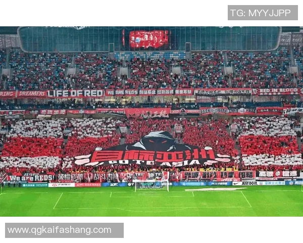 成都网球队灵活性排名创新高引发关注助力网球发展新局面